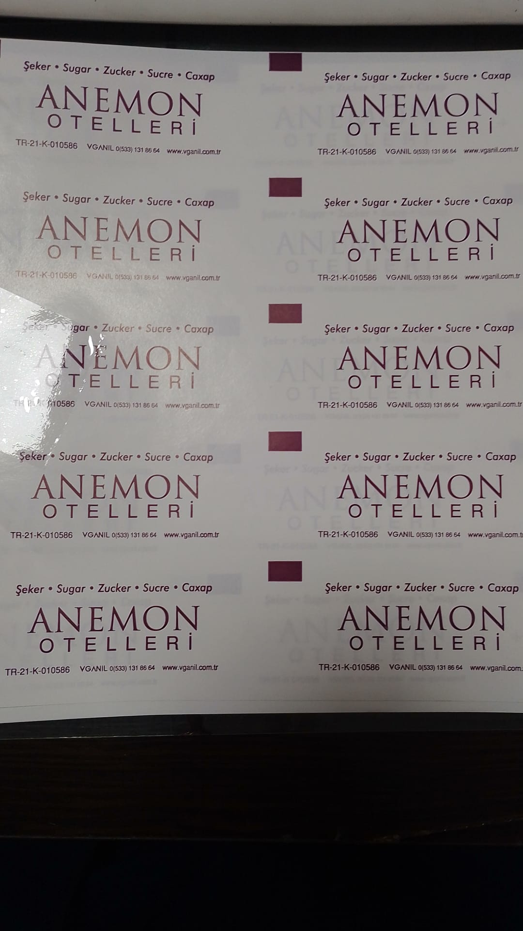 ANEMON OTELLLERİ