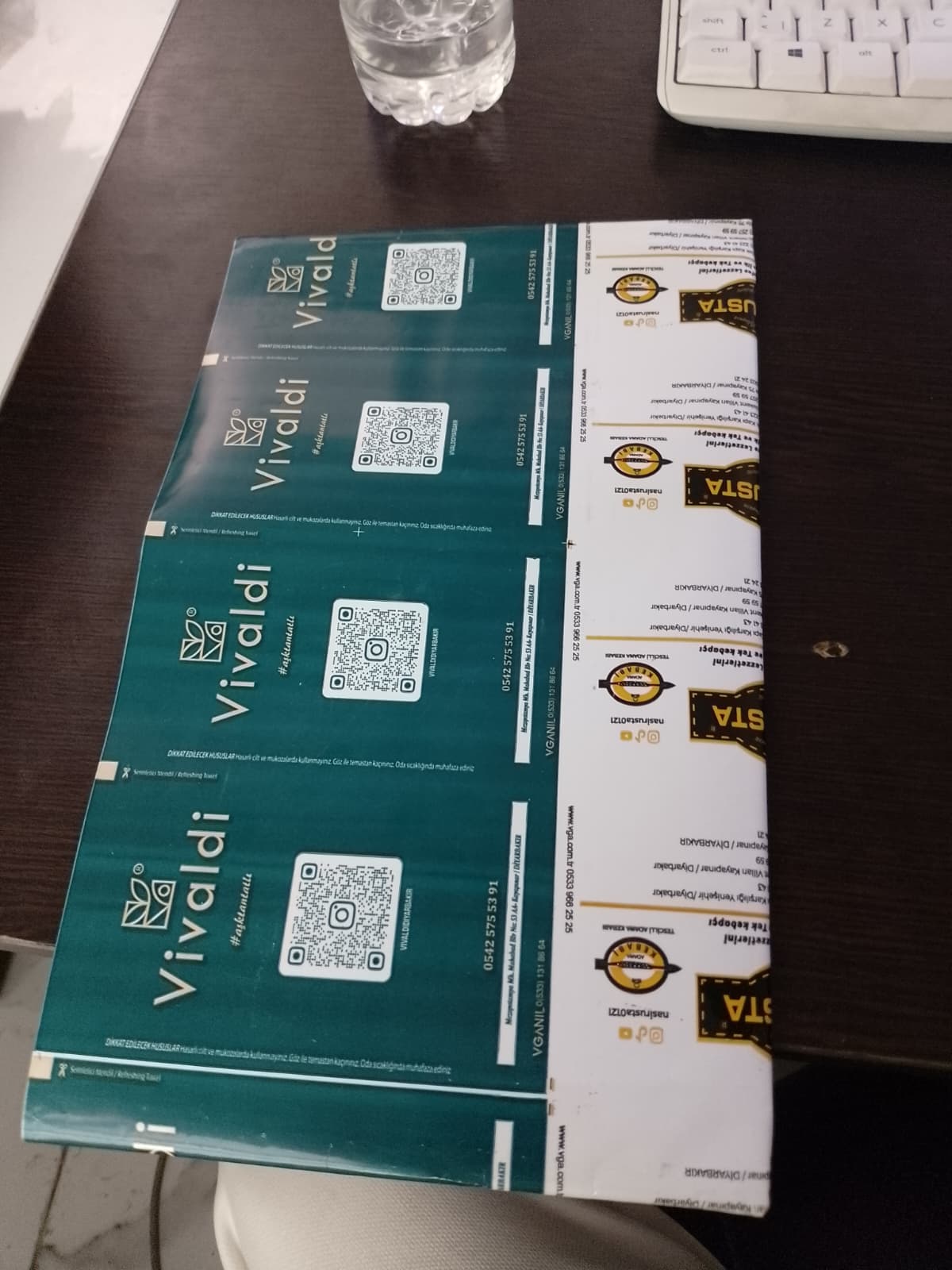 Vivaldi - Nasır Usta