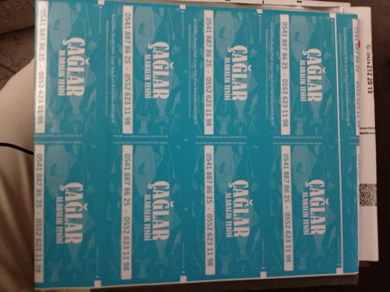 Çağlar Alabalık Tesisi